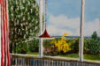 Fensterausblick a la Hopper, Acryl/Leinwand, 40/60